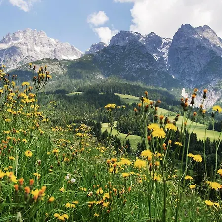 Kaiserhaus Леоганг