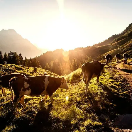 Kaiserhaus Апартаменты