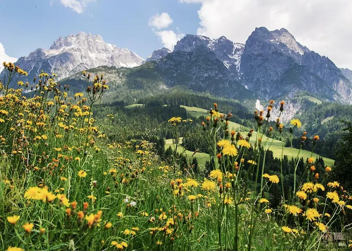 Kaiserhaus 레오강